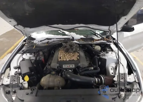 2016 Ford Mustang Gt Premium из США, поврежденный, VIN 1FA6P8CFXG5208460